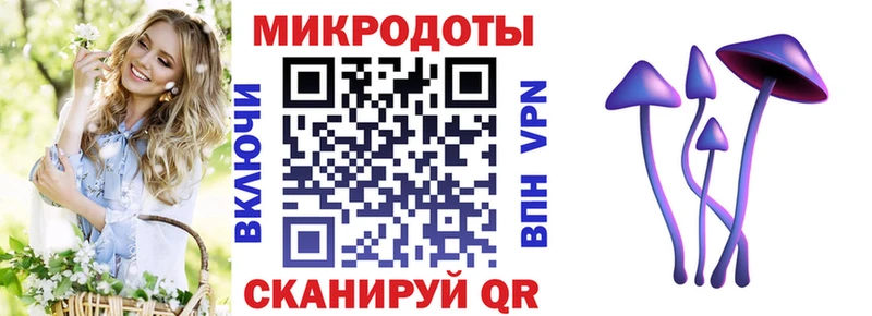 МЕГА сайт  где можно купить наркотик  Шарыпово  Галлюциногенные грибы мицелий 