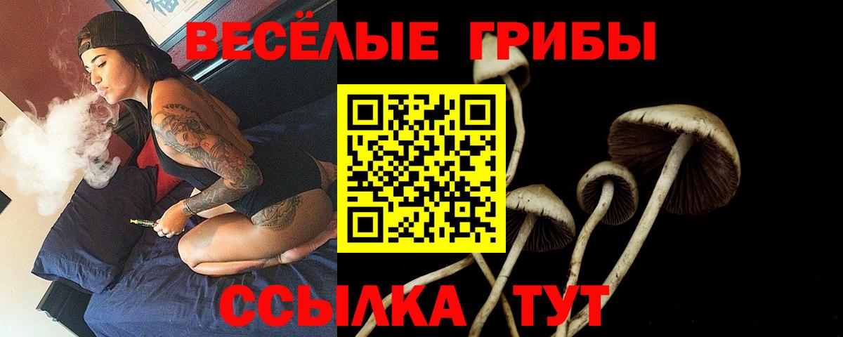 Псилоцибиновые грибы мицелий  Вход с VPN  Шарыпово 