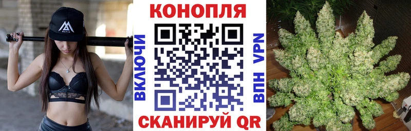 Каннабис семена  Шарыпово 